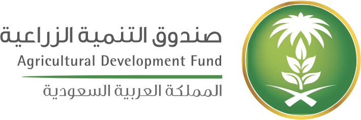 دومينوز بيتزا